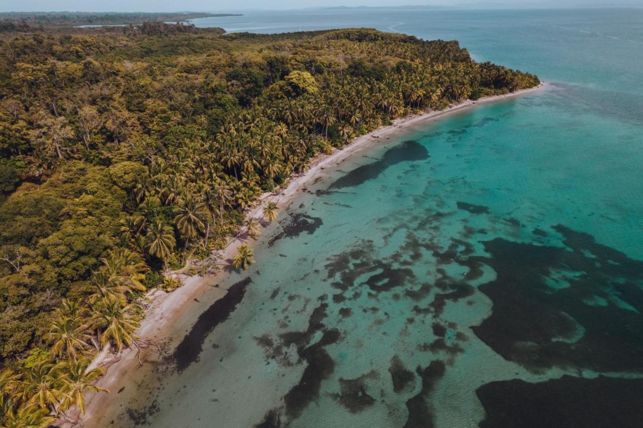 Socialtel Bocas Del Toro Hotel Eksteriør billede