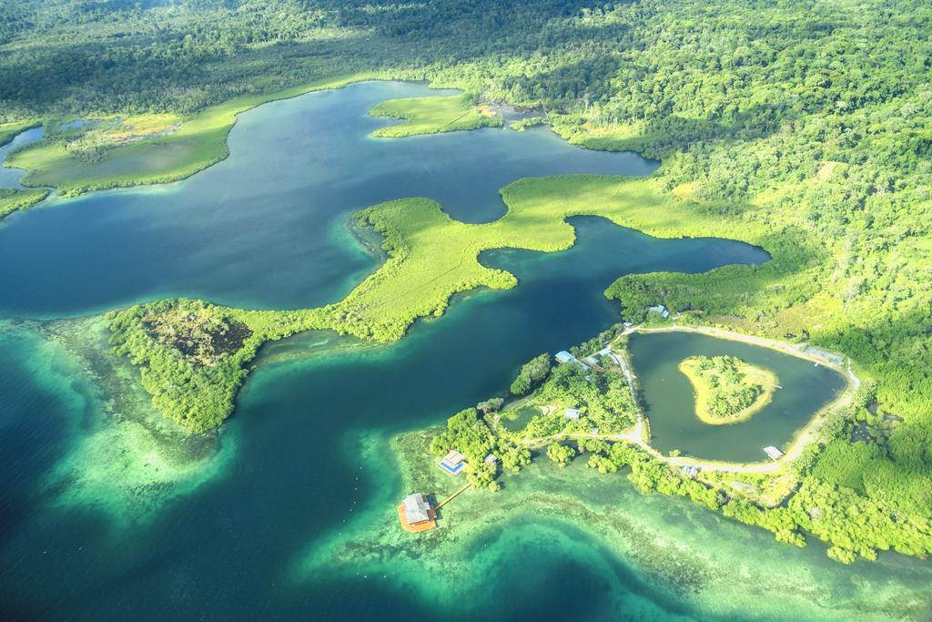 Socialtel Bocas Del Toro Hotel Eksteriør billede